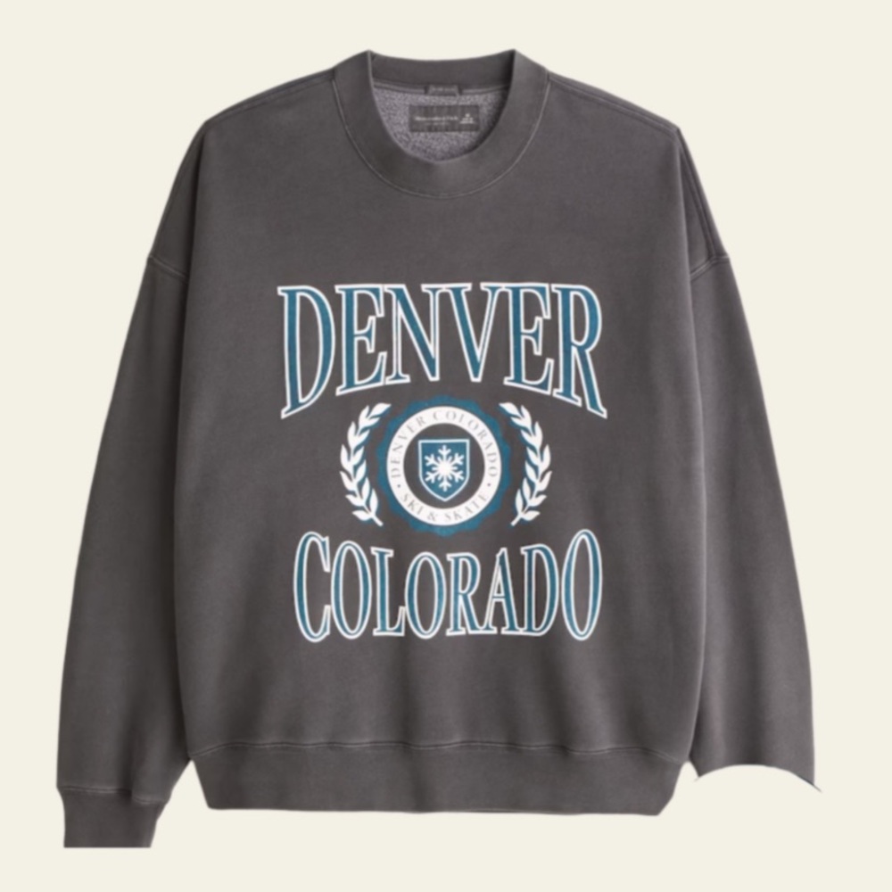 Abercrombie & Fitch Dark Gray Denver Crewneck Sweater